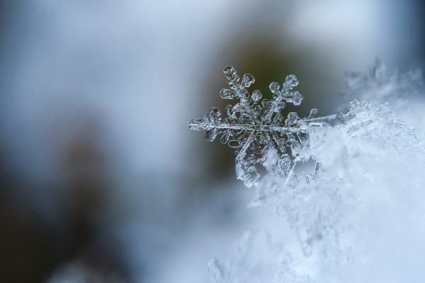 Ernährung Serie: Von Kalorien zur Quantenphysik – Teil V: Die vierte Phase des Wassers Teil 1